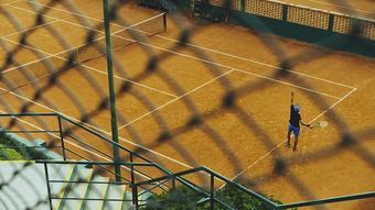 MILANSPORT入口-竞技体育与教育融合发展政策评估，论述竞技体育与学校体育的关系及融合度