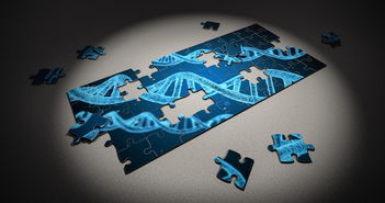 米兰登录入口-篮球专项技能动作稳定性提升研究，篮球运动技能