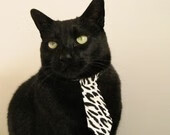 MILANSPORT下载-中国女篮攻守转换更加流畅，中国篮球女篮