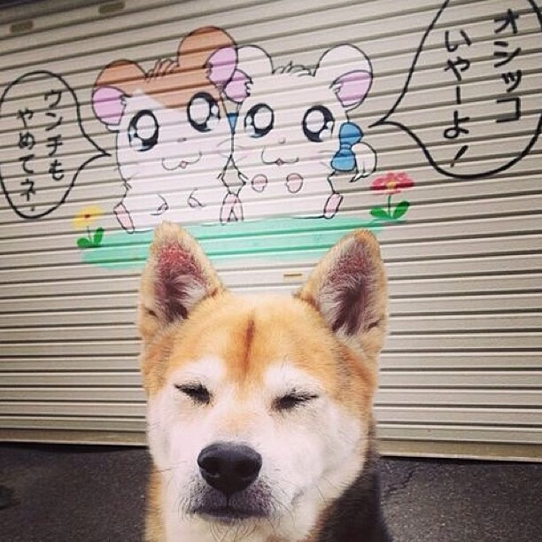 中小学生体育测评系统接入校园APP平台,中小学体质测试