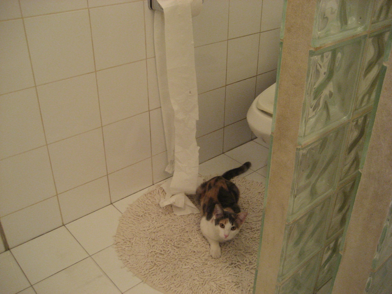 中小学生体育测评系统接入校园APP平台,中小学体质测试