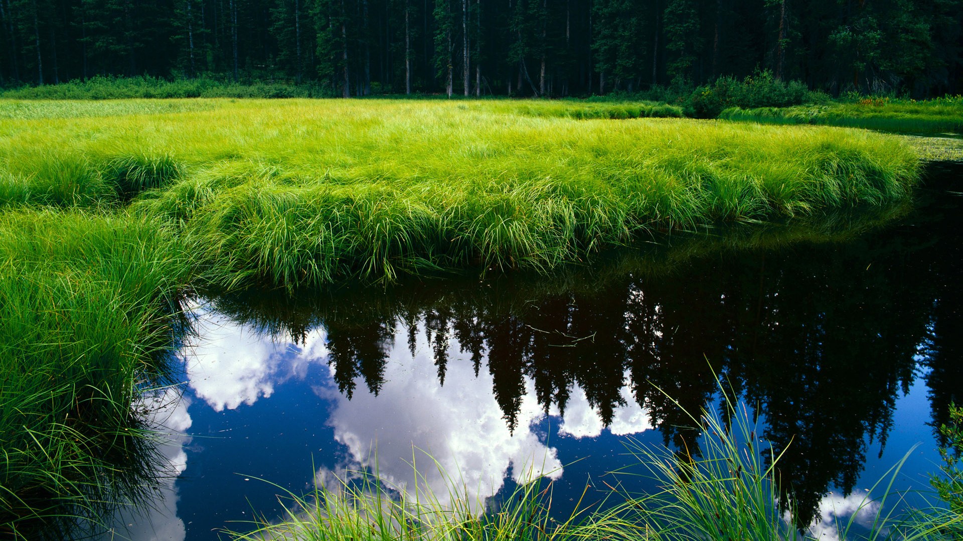 国际热身赛中国青年队复仇 球迷热议不断,国家队热身赛