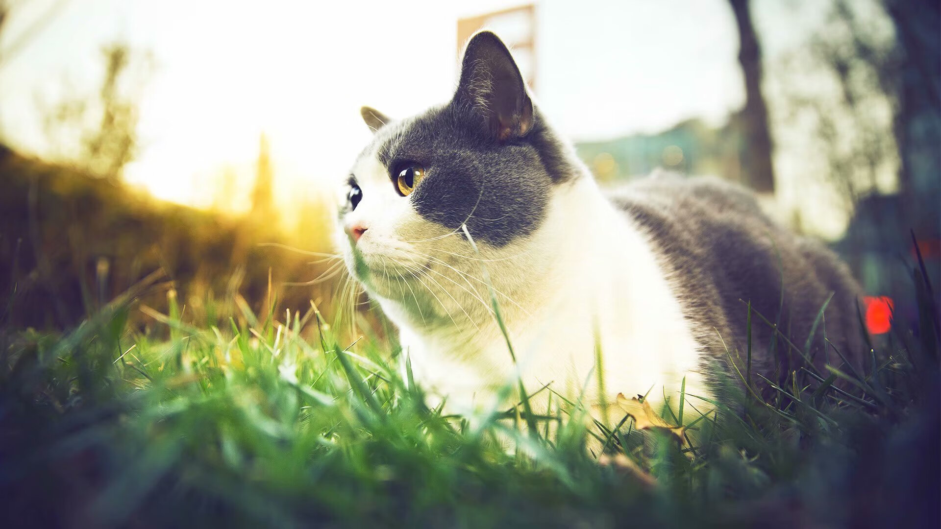 海湾者主帅:全队团结应对挑战,海湾联盟