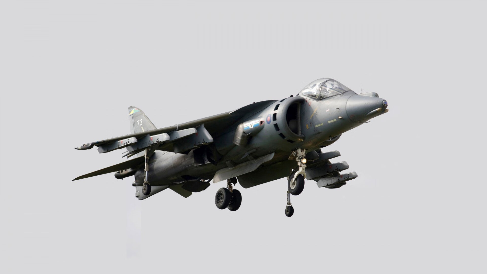 乌拉圭女篮在南美锦标赛中展现新风貌,迈向世界舞台,乌拉圭 南美