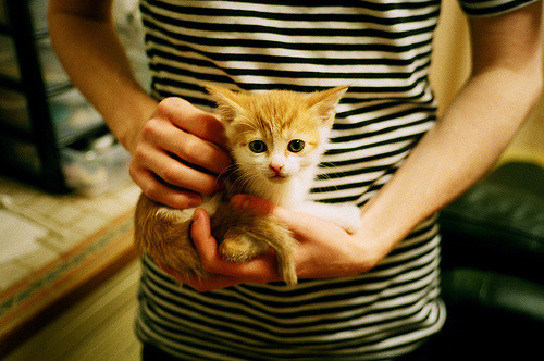 MILANSPORT下载-勇士主场布置加入复古元素致敬队史经典，勇士队重建