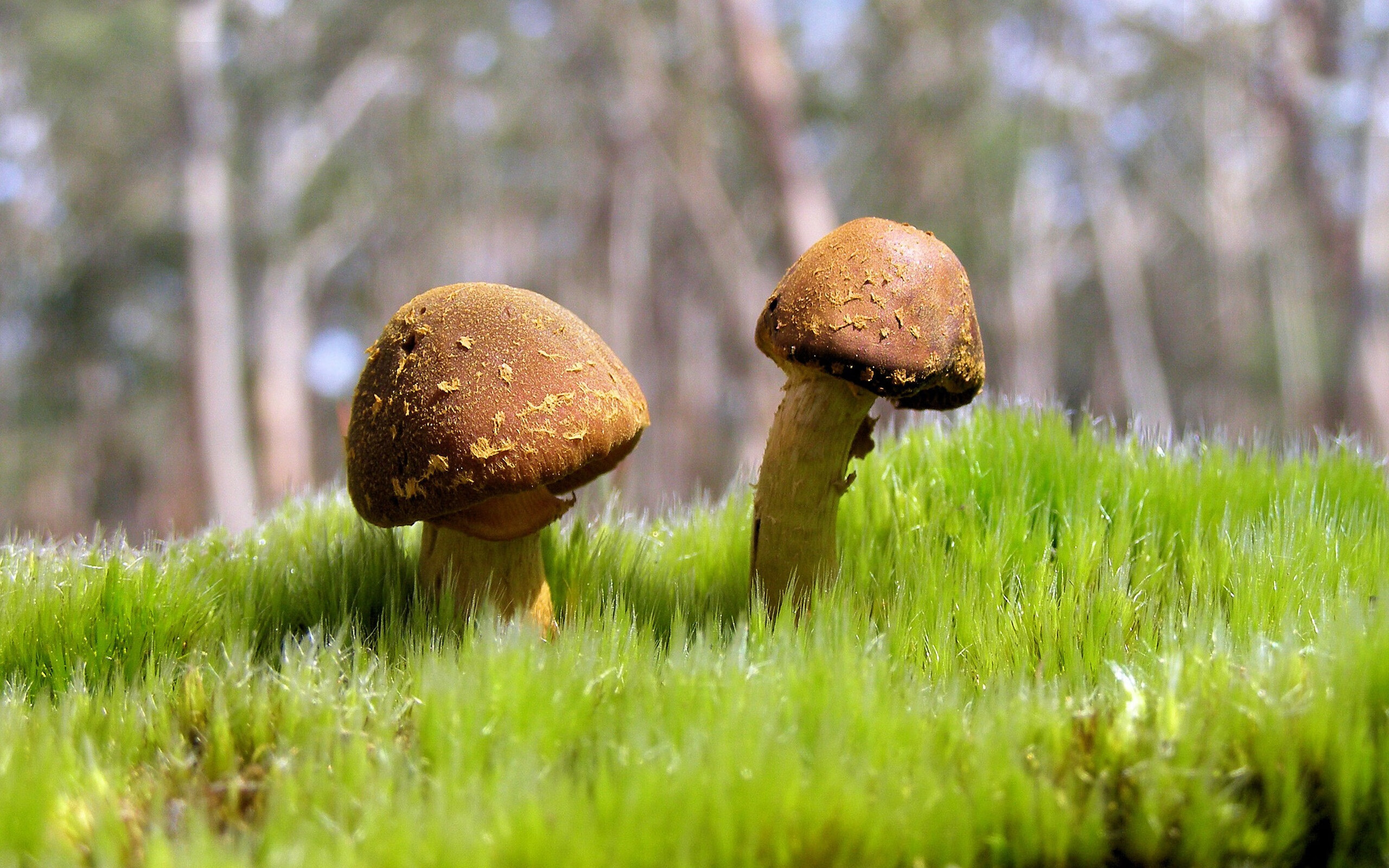 城市篮球联赛吸引退役球员再度上阵点燃观众热情,中国城市篮球联赛