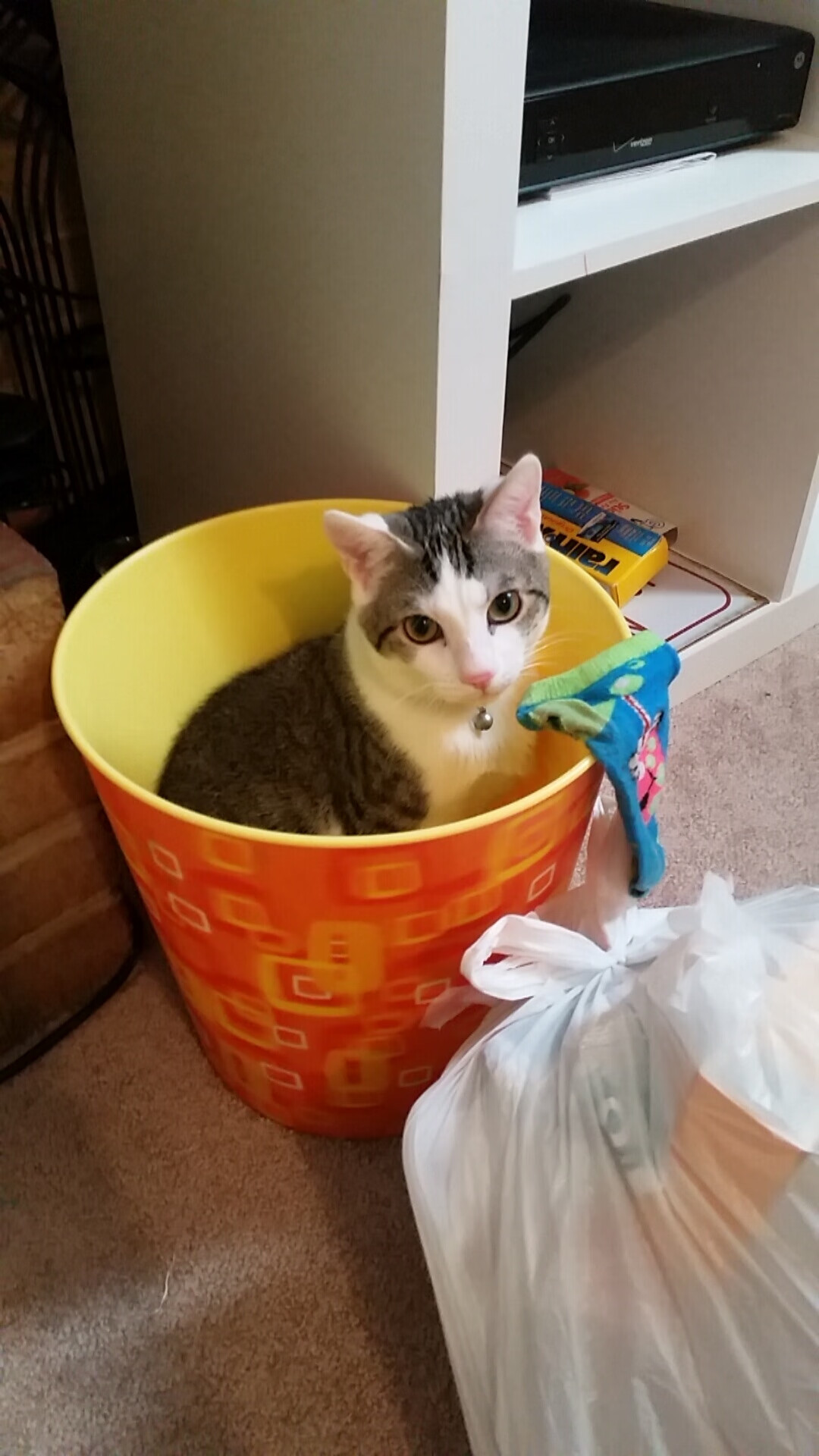 塞尔·拉恩:从翼锋到反击先锋,全黑队外线的灵活多变,拉塞尔cia