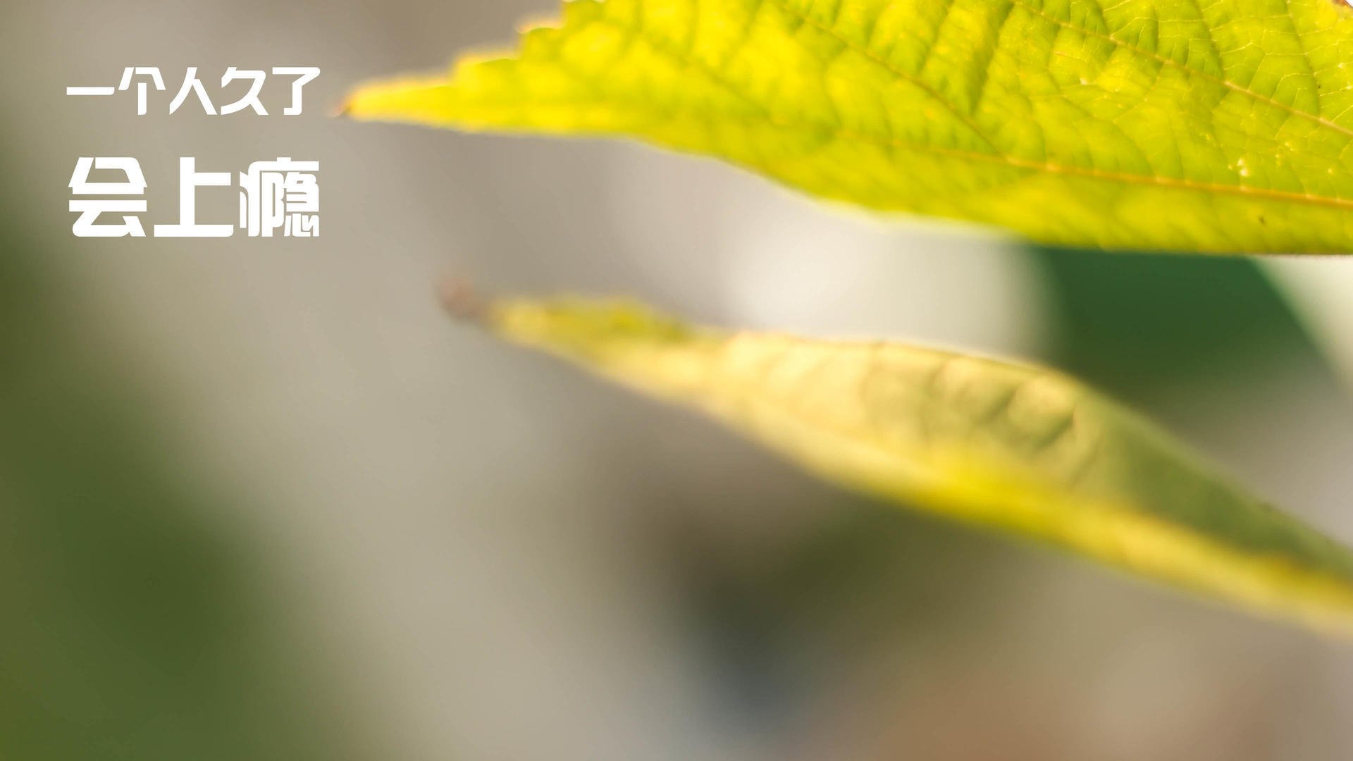 拜仁慕尼黑继续高歌猛进,德甲领跑稳定