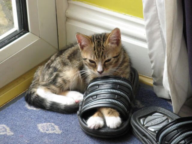 曼联逆转战胜切尔西,积分榜逼近榜首