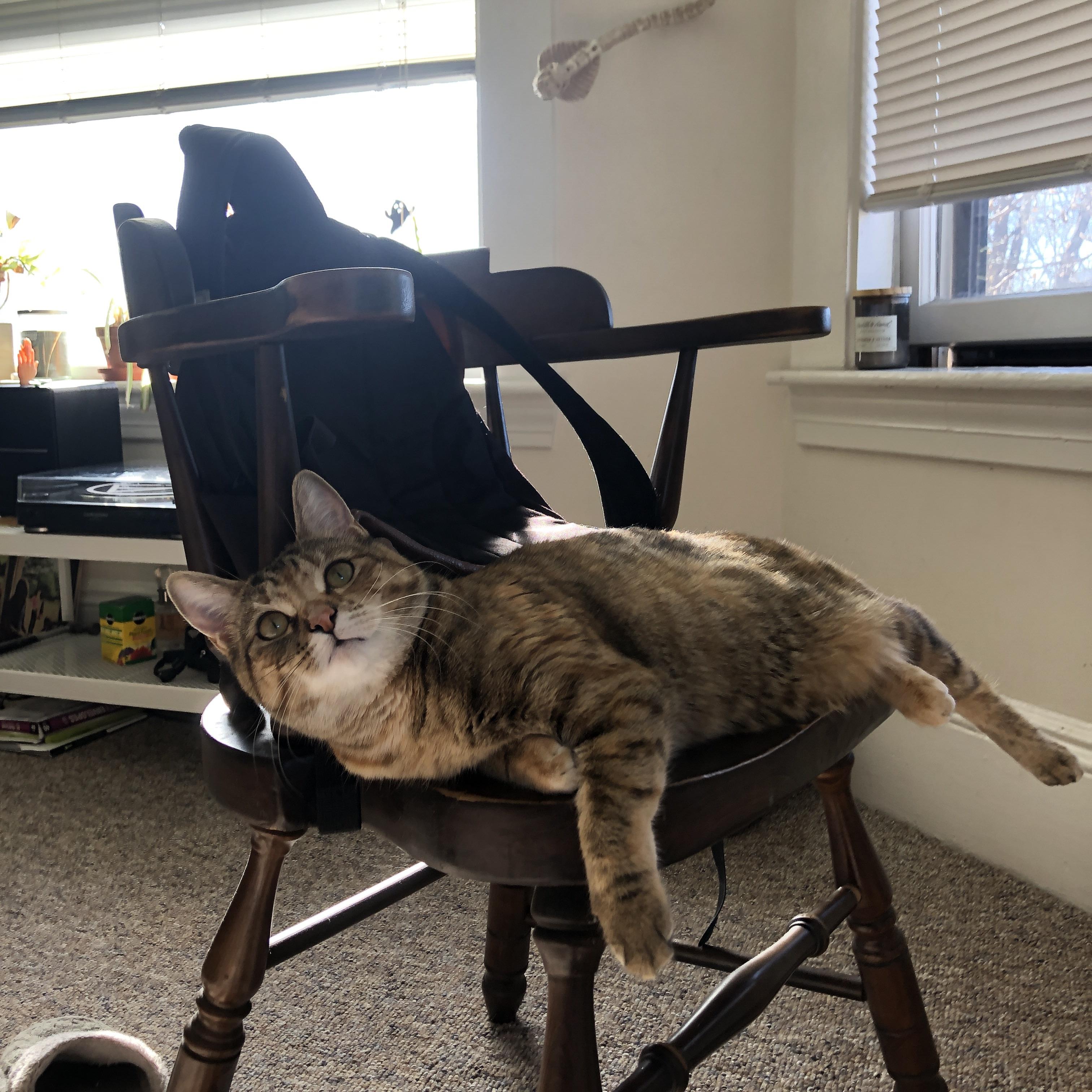 皇马青训再出新星,未来阵容值得期待