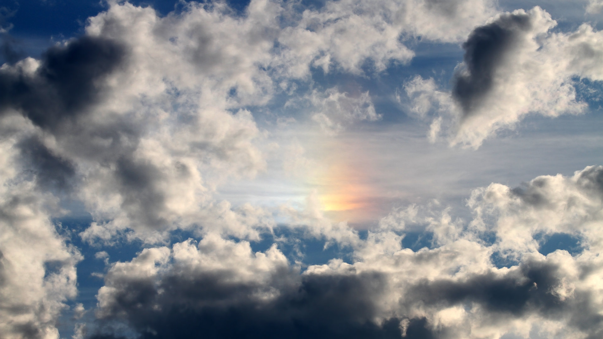 米兰体育官网-鹈鹕高管公开表示未来三年冲击冠军，鹈鹕成员