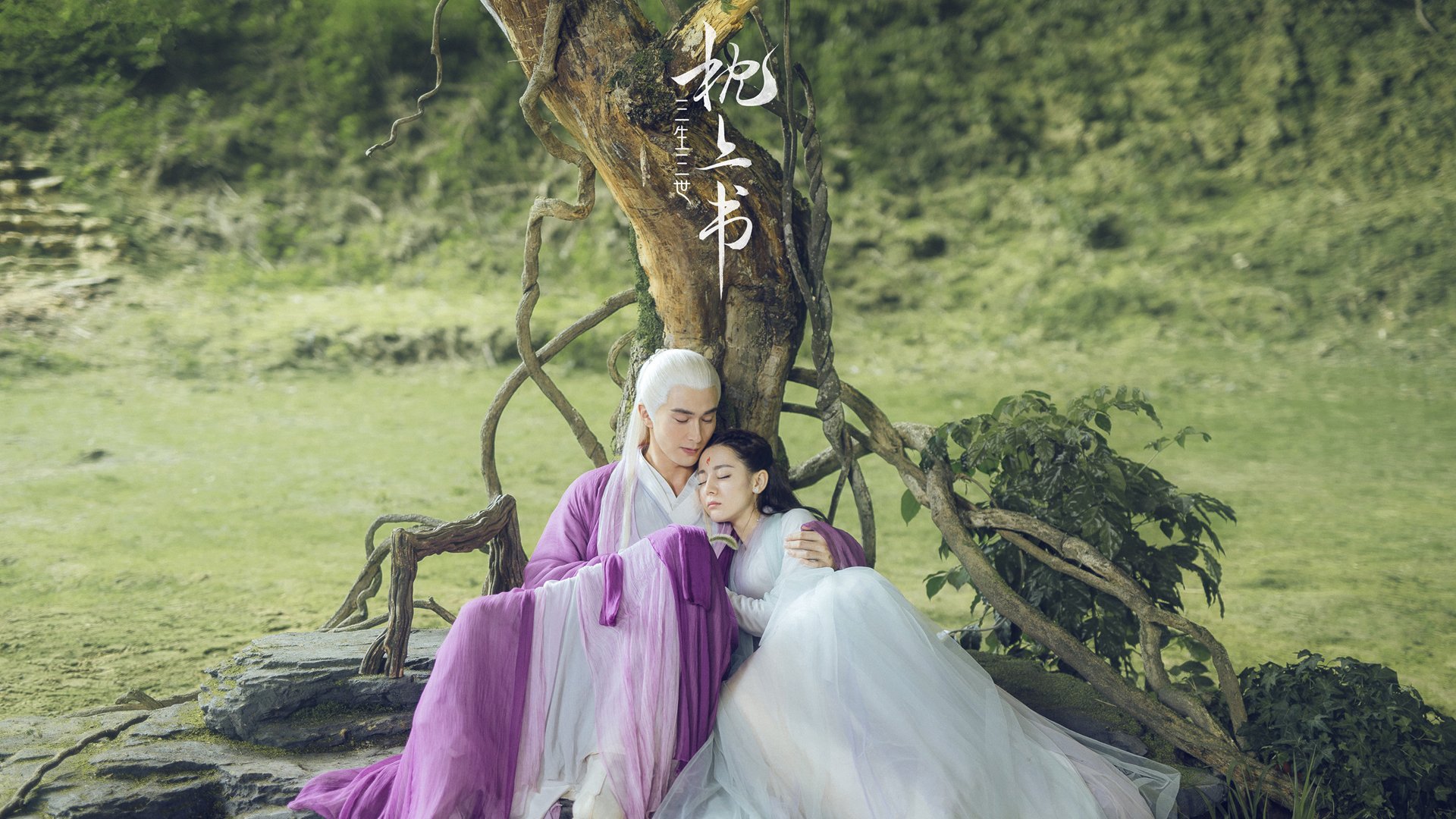 《冠军奥运篇》李雯雯谈努力与梦想,李雯雯奥运比赛成绩